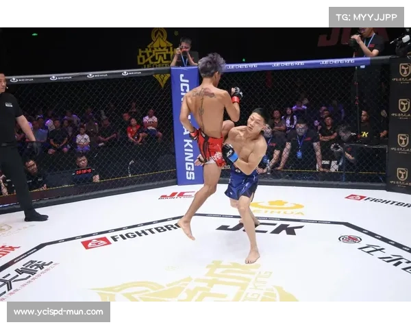 国内最好的mma赛事 国内最好的mma赛事